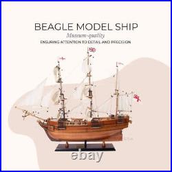 HMS Beagle Tall Ship Model