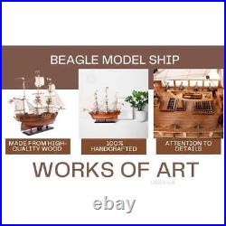 HMS Beagle Tall Ship Model