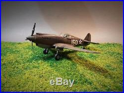Professionally Build P 40 Warhawk model (ready for shipping)