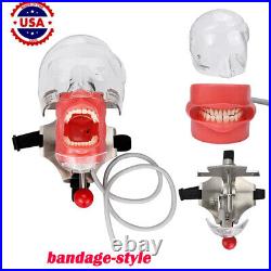 US Ship Dental Simple Head Model simulator Teeth model dental simulation unit