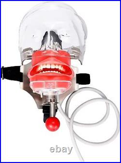 US Ship Dental Simple Head Model simulator Teeth model dental simulation unit