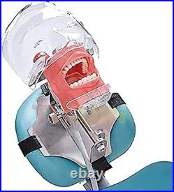 US Ship Dental Simple Head Model simulator Teeth model dental simulation unit