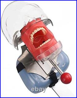 US Ship Dental Simple Head Model simulator Teeth model dental simulation unit